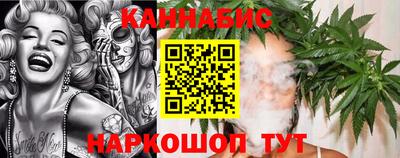 дмт Будённовск