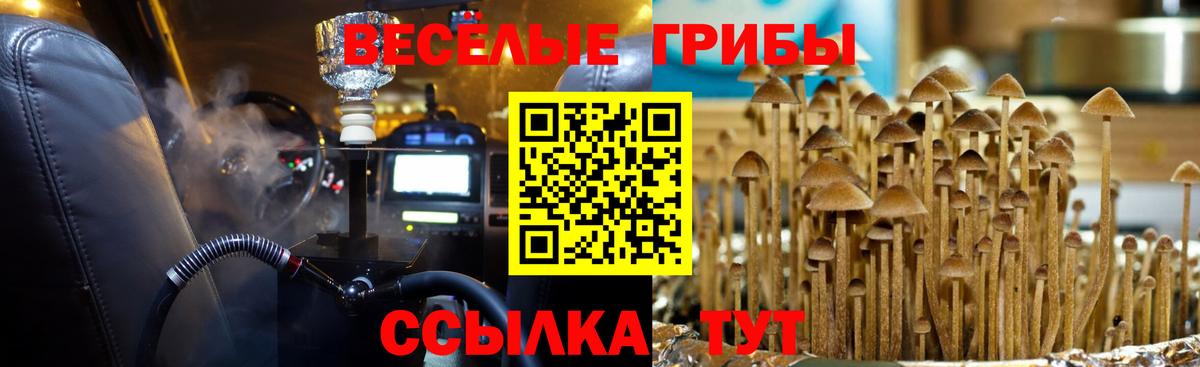 где купить   Псилоцибиновые грибы мицелий  Вход с VPN  Галлюциногенные грибы мицелий  Надым 